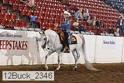 12buck_2346 proof