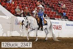 12buck_2347 proof