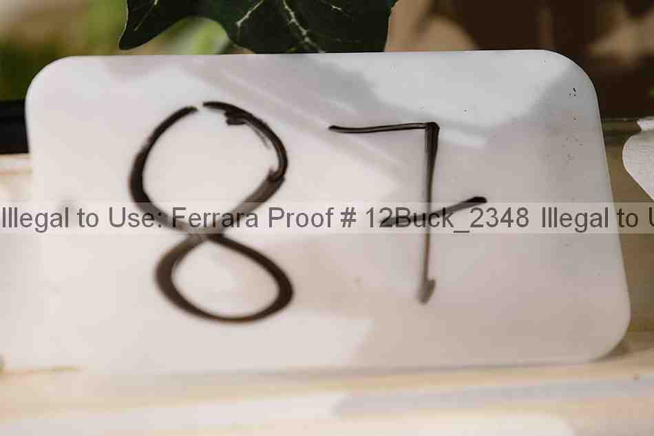 Proof 12buck_2348