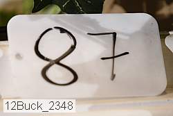 12buck_2348 proof