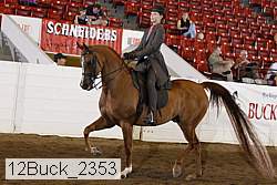 12buck_2353 proof