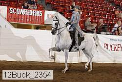 12buck_2354 proof
