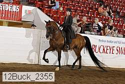 12buck_2355 proof