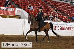 12buck_2357 proof