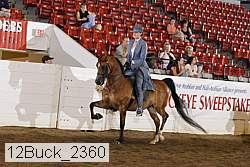 12buck_2360 proof