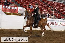 12buck_2363 proof