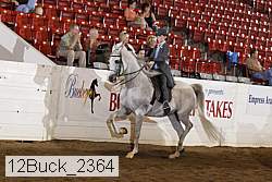 12buck_2364 proof