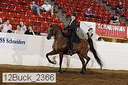 12buck_2366 proof