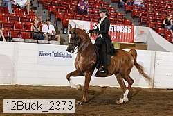 12buck_2373 proof