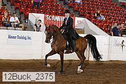 12buck_2375 proof