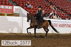 12buck_2377 proof