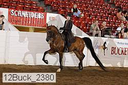 12buck_2380 proof