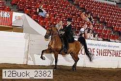 12buck_2382 proof