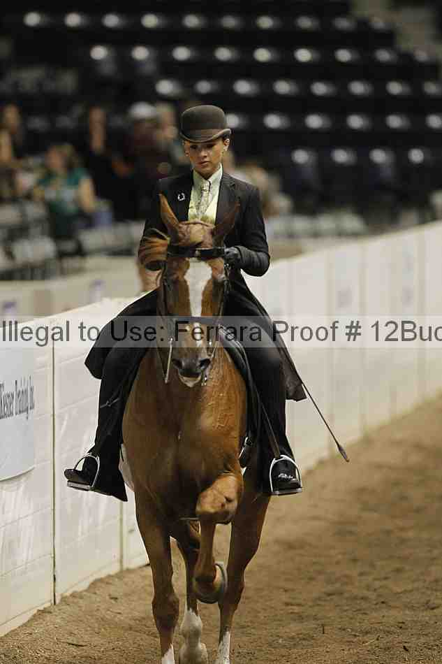 Proof 12buck_2391