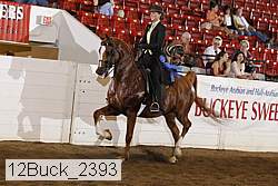12buck_2393 proof