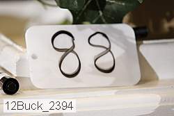 12buck_2394 proof