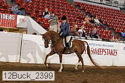 12buck_2399 proof