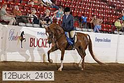 12buck_2403 proof