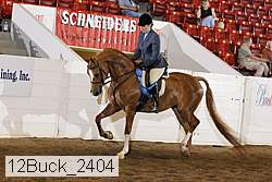 12buck_2404 proof