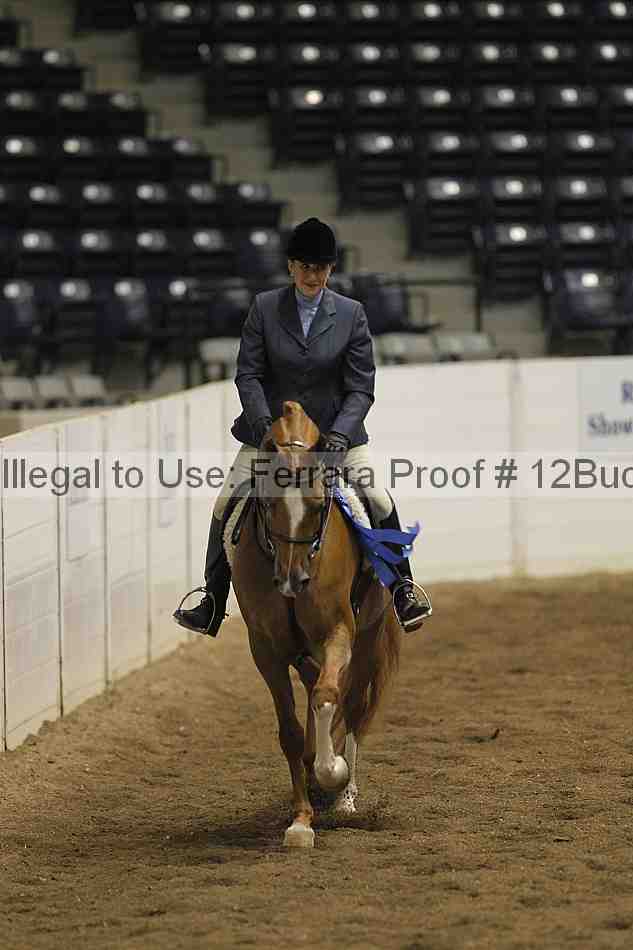 Proof 12buck_2406