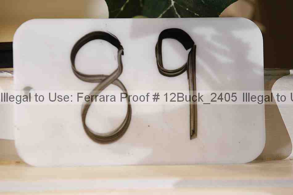 Proof 12buck_2405