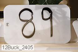 12buck_2405 proof