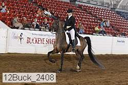 12buck_2408 proof