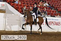 12buck_2409 proof