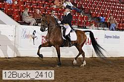 12buck_2410 proof