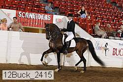 12buck_2415 proof