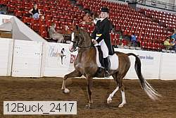 12buck_2417 proof