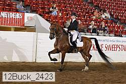 12buck_2423 proof