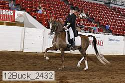 12buck_2432 proof