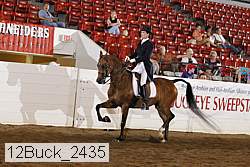 12buck_2435 proof