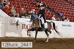 12buck_2441 proof