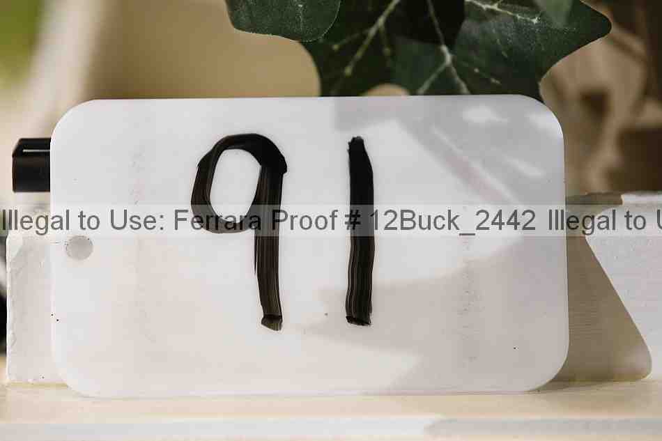 Proof 12buck_2442