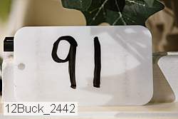 12buck_2442 proof