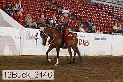 12buck_2446 proof
