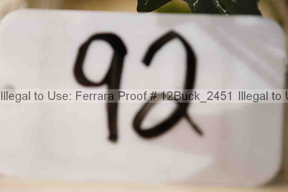 Proof 12buck_2451