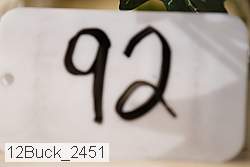 12buck_2451 proof