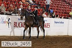 12buck_2455 proof