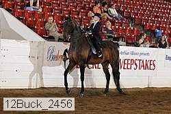 12buck_2456 proof