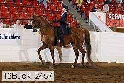 12buck_2457 proof