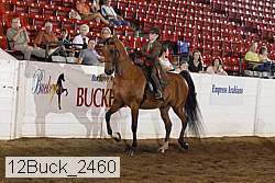 12buck_2460 proof