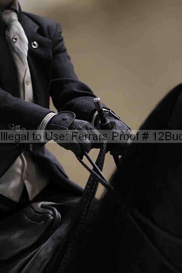 Proof 12buck_2463