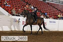 12buck_2468 proof