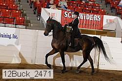 12buck_2471 proof