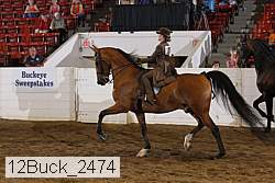 12buck_2474 proof