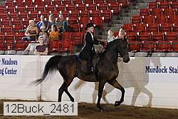 12buck_2481 proof