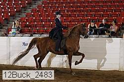 12buck_2483 proof